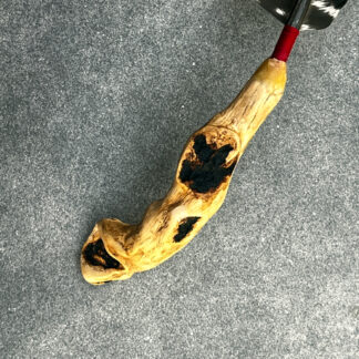 Räucherfeder Föhrenwurzel 001