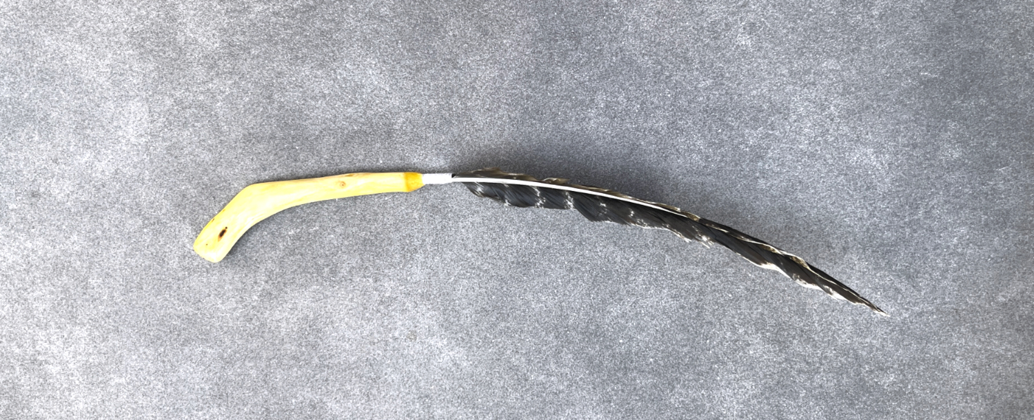 Räucherfeder Mammutwurzel 003 – Bild 2