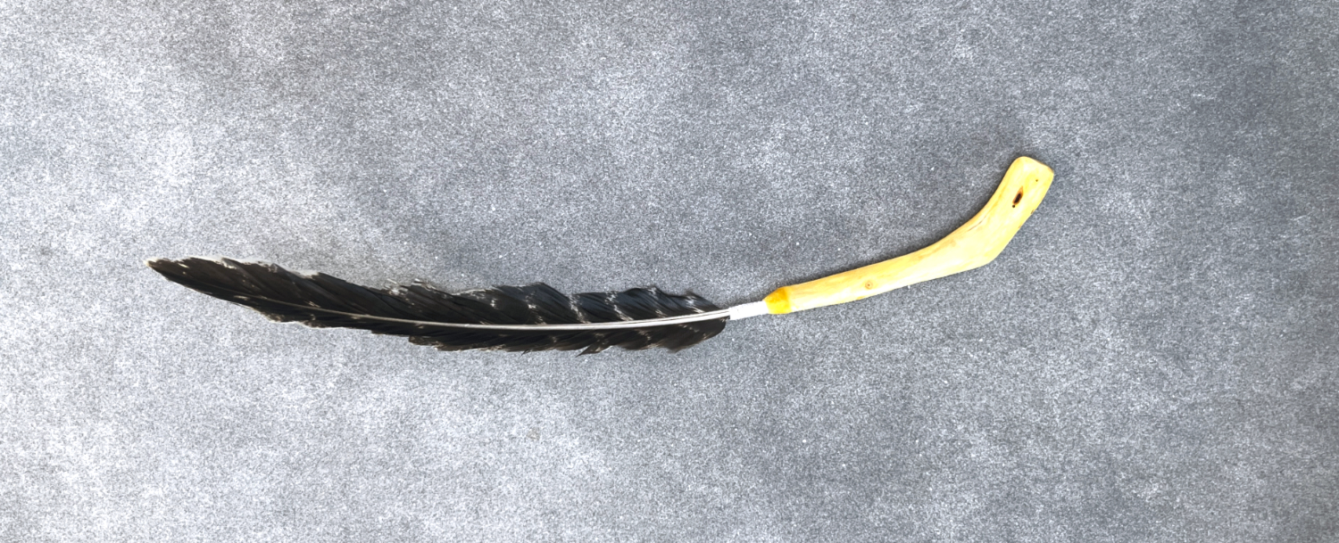 Räucherfeder Mammutwurzel 003 – Bild 3