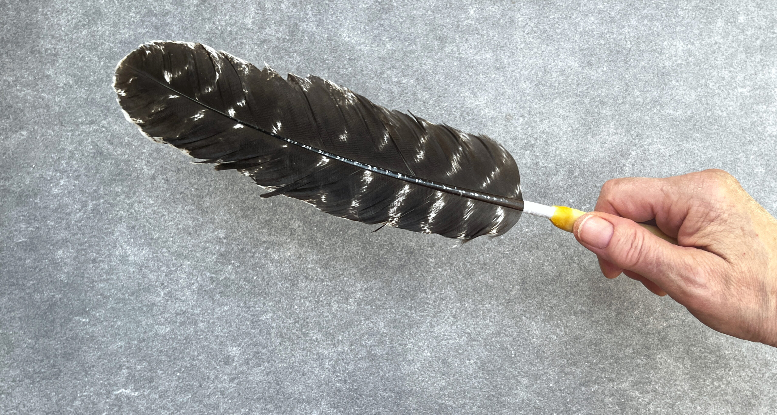 Räucherfeder Mammutwurzel 003 – Bild 4