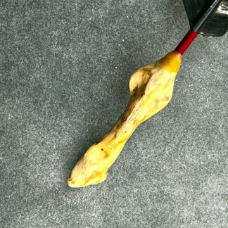 Räucherfeder Föhrenwurzel 006