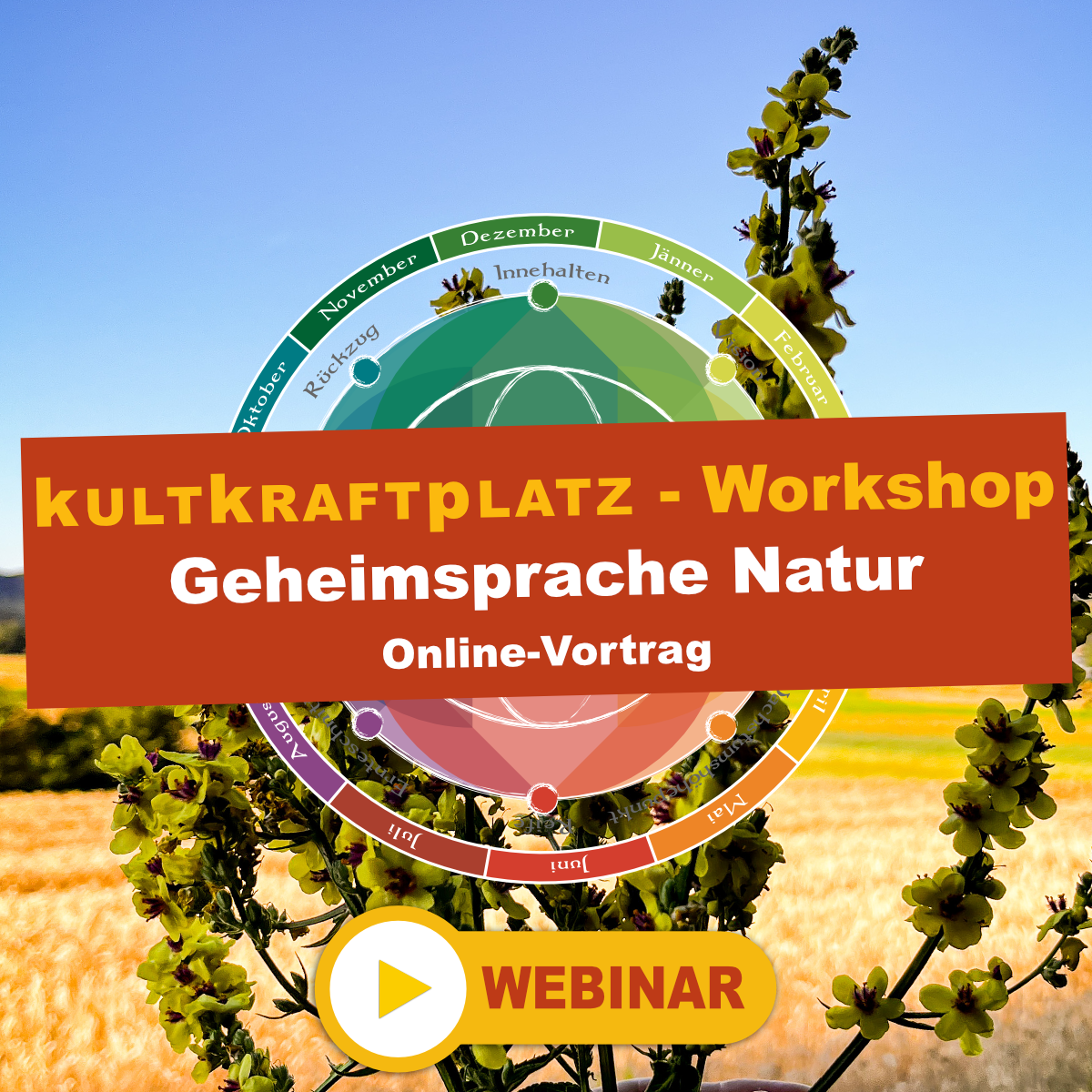 Online-Vortrag: Die geheime Sprache der Natur – über Pflanzenzeiger & tierische Botschafter