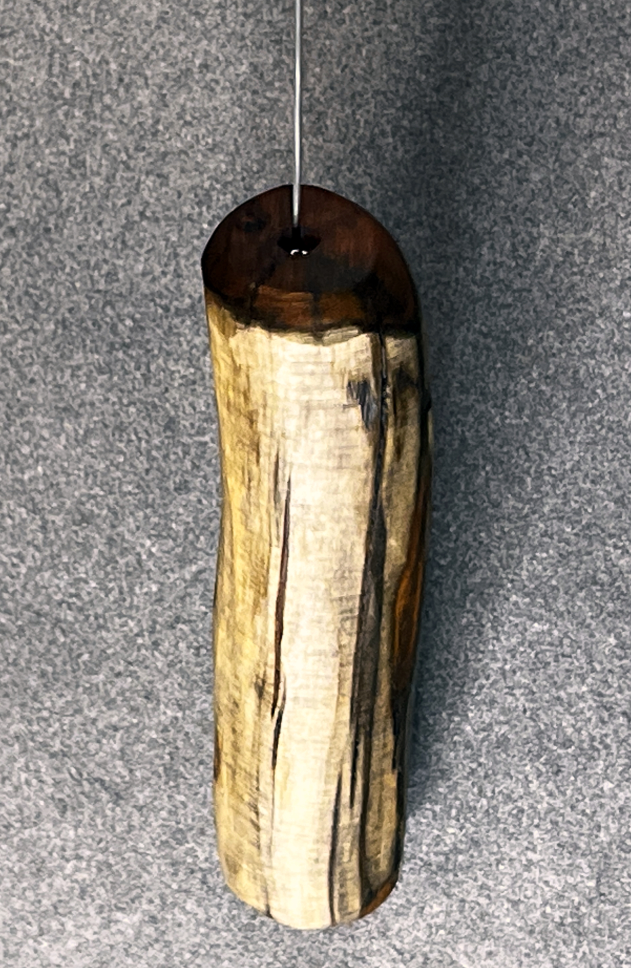 Tensor (Einhandrute) Eibe, mit Kugel - 105/25