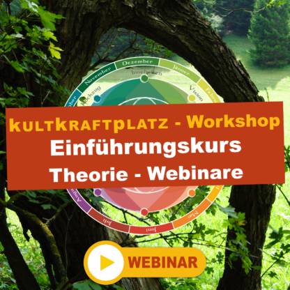 Einführungskurs: Theorie-Webinare