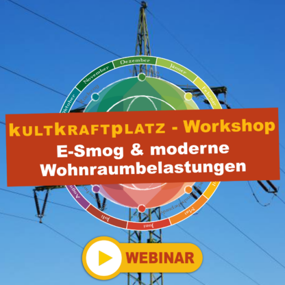 E-Smog und moderne Wohnraumbelastungen - Webinar