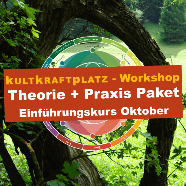 Einführungskurs Theorie + Praxis Oktober-Bundle