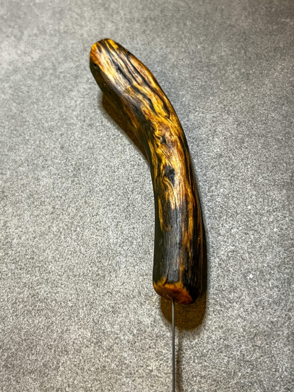 Tensor (Einhandrute) Föhrenwurzel, mit Ring - 017/25 – Bild 3