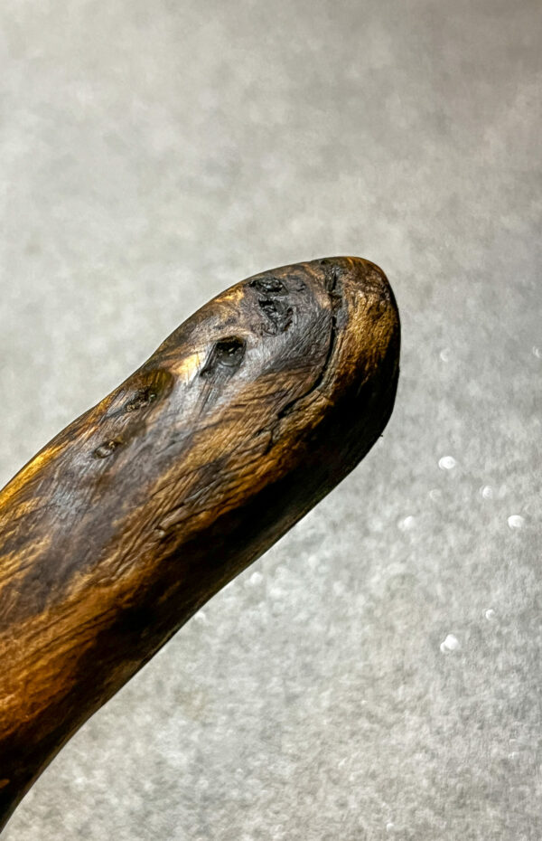 Tensor (Einhandrute) Föhrenwurzel, mit Ring - 017/25 – Bild 2