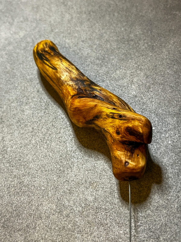 Tensor (Einhandrute) Korkenzieherhaselnuss, mit Ring - 018/25 – Bild 2