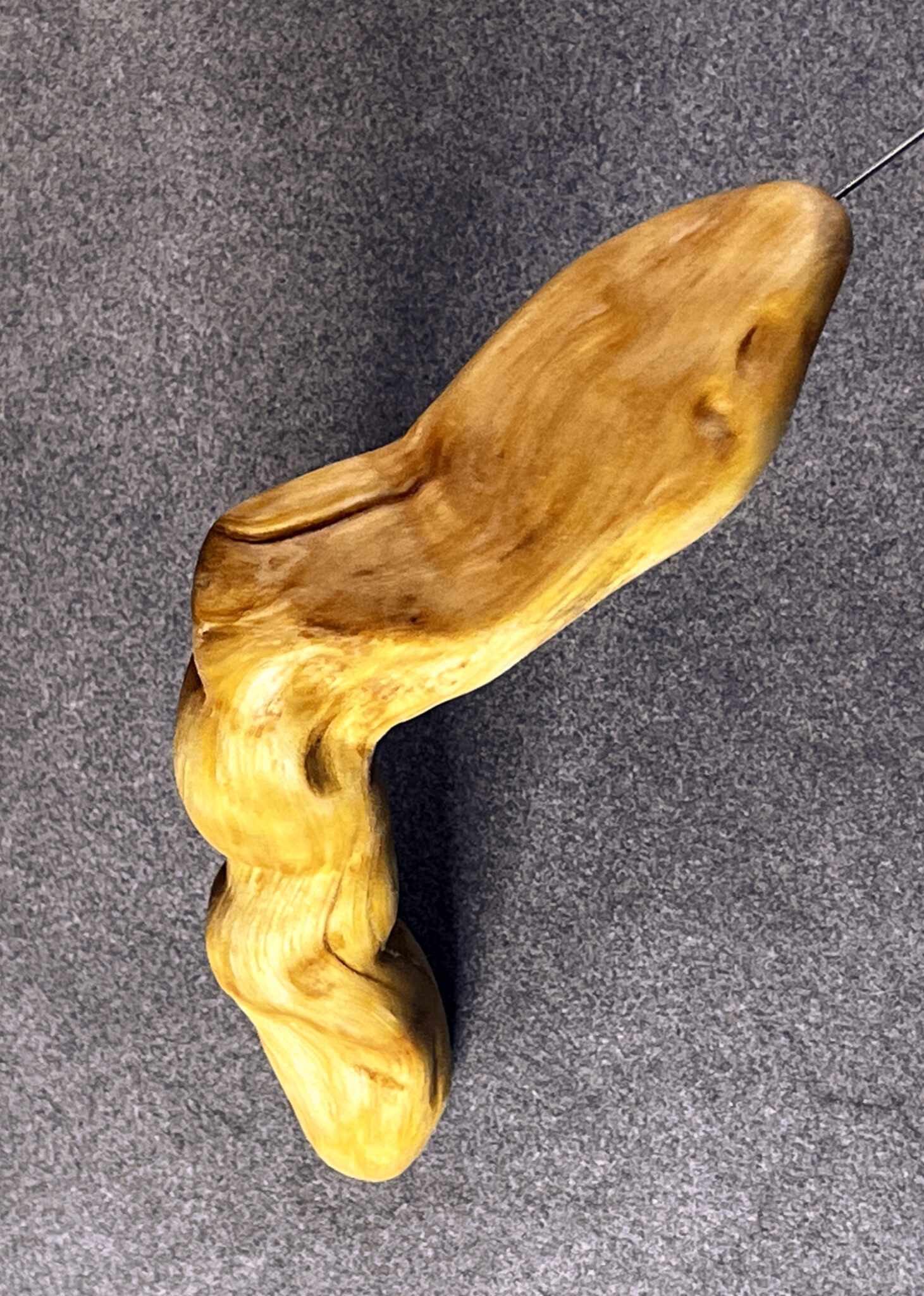 Tensor (Einhandrute) Fichtenwurzel, mit Kugel - 101/25